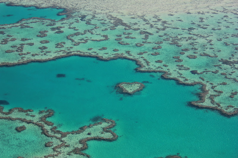 Heart Reef Great Barrier Reef
